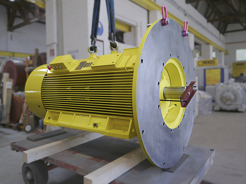 Pump motor with special flange for chemical plant